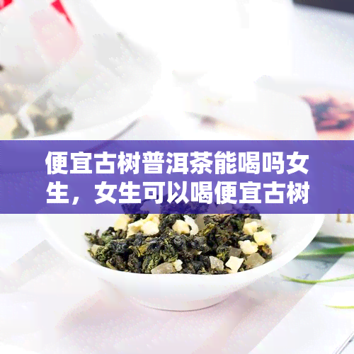 便宜古树普洱茶能喝吗女生，女生可以喝便宜古树普洱茶吗？解析其品质与健影响