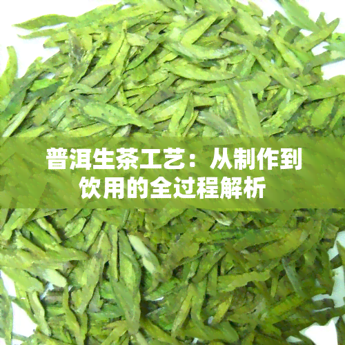 普洱生茶工艺：从制作到饮用的全过程解析