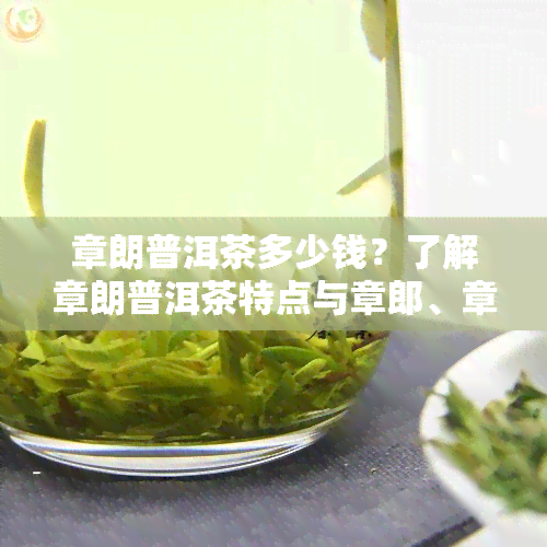 章朗普洱茶多少钱？了解章朗普洱茶特点与章郎、章朗古树普洱茶生茶信息