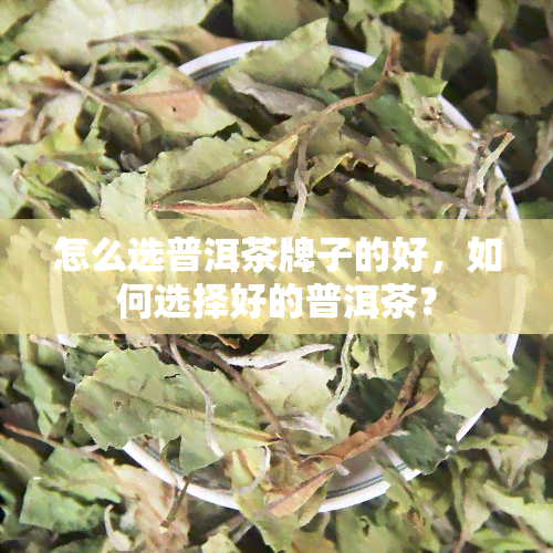 怎么选普洱茶牌子的好，如何选择好的普洱茶？