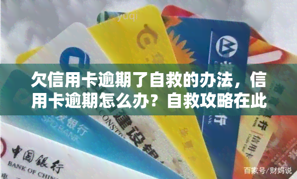 欠信用卡逾期了自救的办法，信用卡逾期怎么办？自救攻略在此！