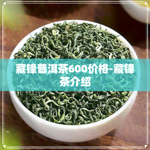 藏锋普洱茶600价格-藏锋茶介绍