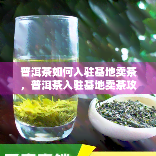 普洱茶如何入驻基地卖茶，普洱茶入驻基地卖茶攻略