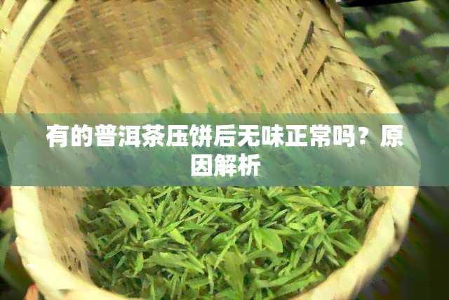 有的普洱茶压饼后无味正常吗？原因解析