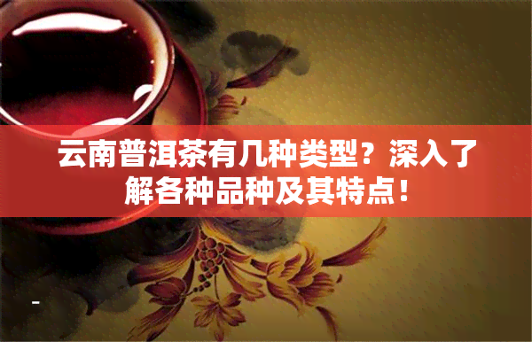 云南普洱茶有几种类型？深入了解各种品种及其特点！