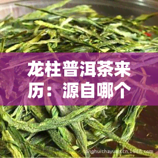 龙柱普洱茶来历：源自哪个年代？详解功效与所属大益系列