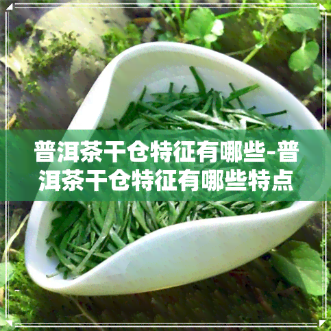 普洱茶干仓特征有哪些-普洱茶干仓特征有哪些特点