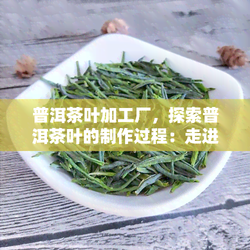 普洱茶叶加工厂，探索普洱茶叶的制作过程：走进普洱茶叶加工厂