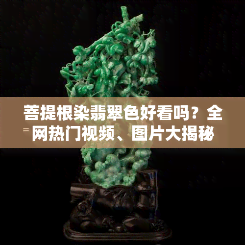 菩提根染翡翠色好看吗？全网热门视频、图片大揭秘！