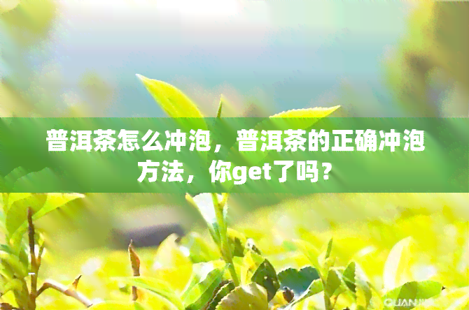 普洱茶怎么冲泡，普洱茶的正确冲泡方法，你get了吗？