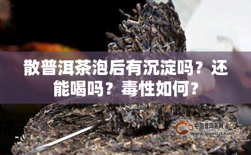 散普洱茶泡后有沉淀吗？还能喝吗？性如何？