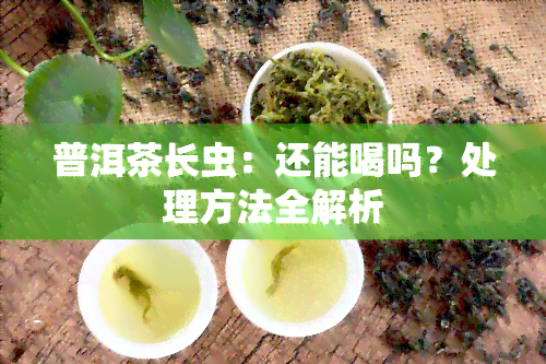 普洱茶长虫：还能喝吗？处理方法全解析