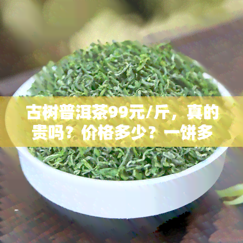 古树普洱茶99元/斤，真的贵吗？价格多少？一饼多少钱？全面解析表