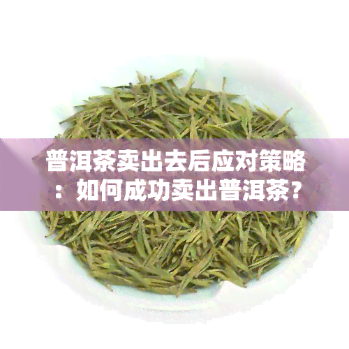 普洱茶卖出去后应对策略：如何成功卖出普洱茶？