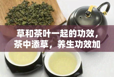 草和茶叶一起的功效，茶中添草，养生功效加倍！