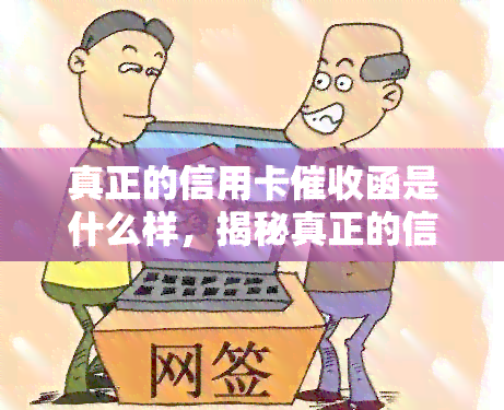 真正的信用卡函是什么样，揭秘真正的信用卡函：你必须知道的特征和细节