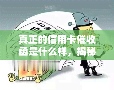 真正的信用卡函是什么样，揭秘真正的信用卡函：你必须知道的特征与内容