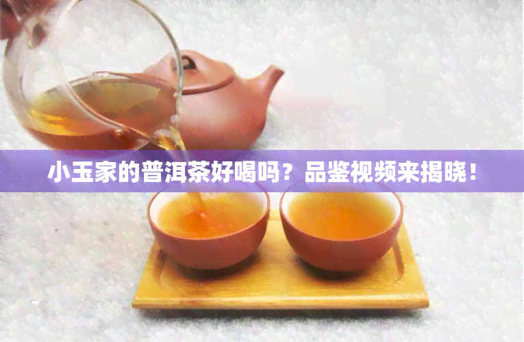 小玉家的普洱茶好喝吗？品鉴视频来揭晓！