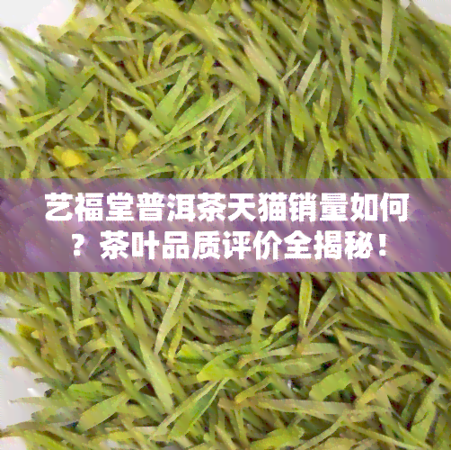 艺福堂普洱茶天猫销量如何？茶叶品质评价全揭秘！