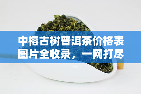 中榕古树普洱茶价格表图片全收录，一网打尽！