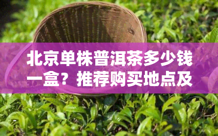 北京单株普洱茶多少钱一盒？推荐购买地点及店铺