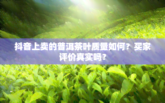 抖音上卖的普洱茶叶质量如何？买家评价真实吗？