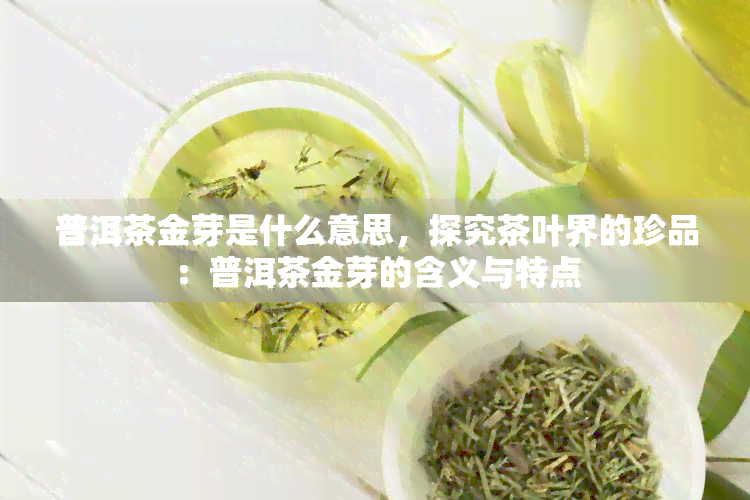 普洱茶金芽是什么意思，探究茶叶界的珍品：普洱茶金芽的含义与特点