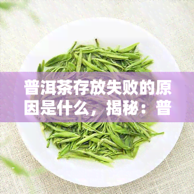 普洱茶存放失败的原因是什么，揭秘：普洱茶存放失败的常见原因