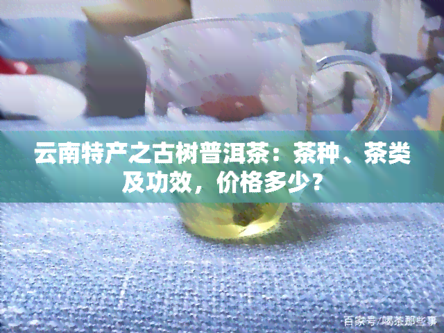 云南特产之古树普洱茶：茶种、茶类及功效，价格多少？