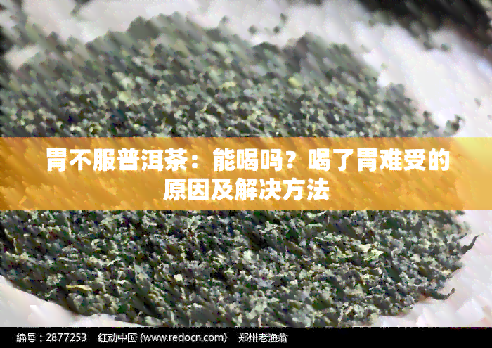 胃不服普洱茶：能喝吗？喝了胃难受的原因及解决方法