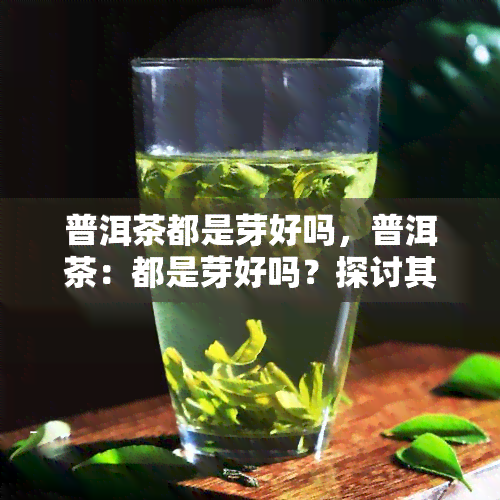 普洱茶都是芽好吗，普洱茶：都是芽好吗？探讨其品质与口感的影响