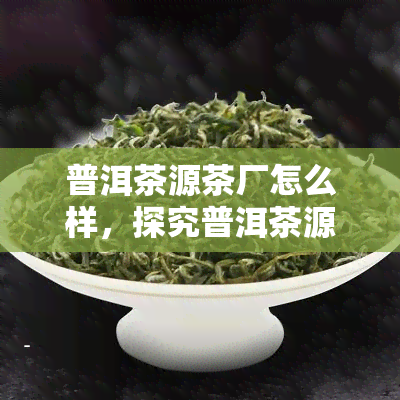 普洱茶源茶厂怎么样，探究普洱茶源茶厂：品质、口碑与评价