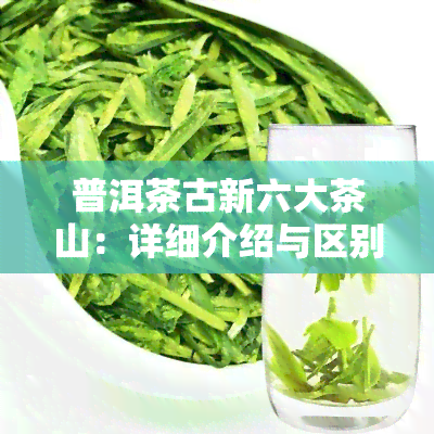 普洱茶古新六大茶山：详细介绍与区别