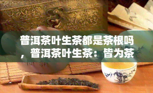 普洱茶叶生茶都是茶根吗，普洱茶叶生茶：皆为茶根吗？