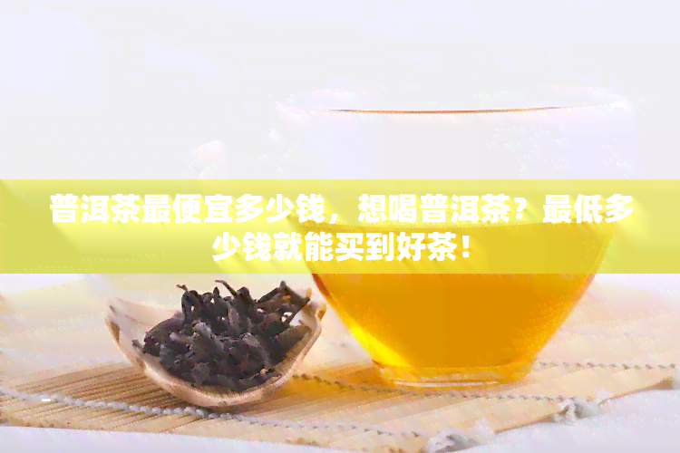 普洱茶更便宜多少钱，想喝普洱茶？更低多少钱就能买到好茶！