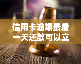 信用卡逾期最后一天还款可以立马刷出来吗，信用卡逾期最后一天还款能否立即使用？