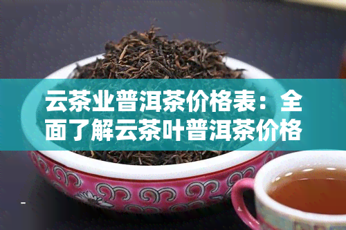 云茶业普洱茶价格表：全面了解云茶叶普洱茶价格及产品信息