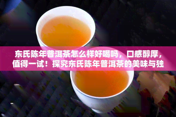 东氏陈年普洱茶怎么样好喝吗，口感醇厚，值得一试！探究东氏陈年普洱茶的美味与独特之处