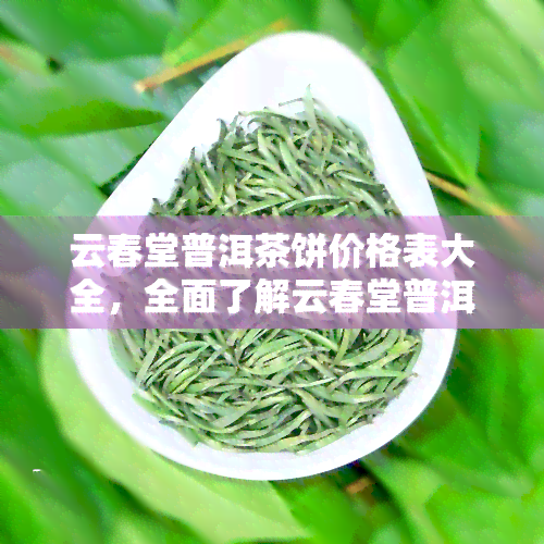 云春堂普洱茶饼价格表大全，全面了解云春堂普洱茶饼价格，一网打尽最新行情！