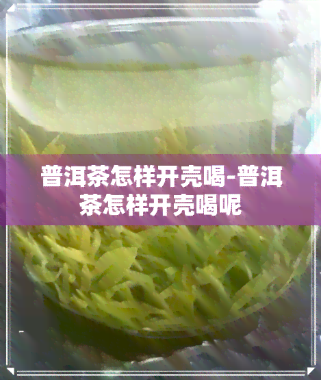 普洱茶怎样开壳喝-普洱茶怎样开壳喝呢