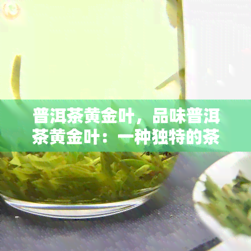 普洱茶黄金叶，品味普洱茶黄金叶：一种独特的茶叶体验