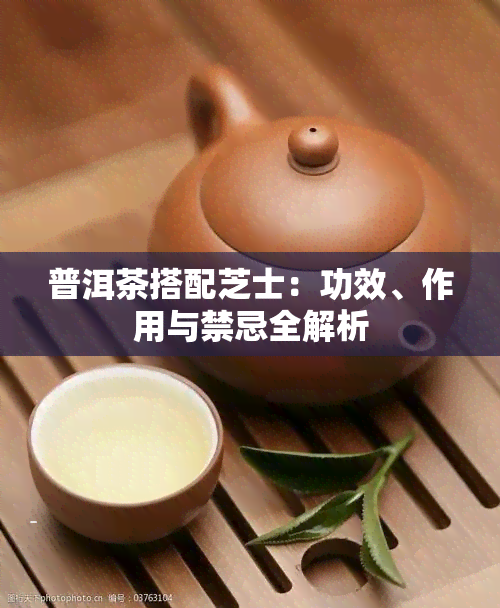 普洱茶搭配芝士：功效、作用与禁忌全解析