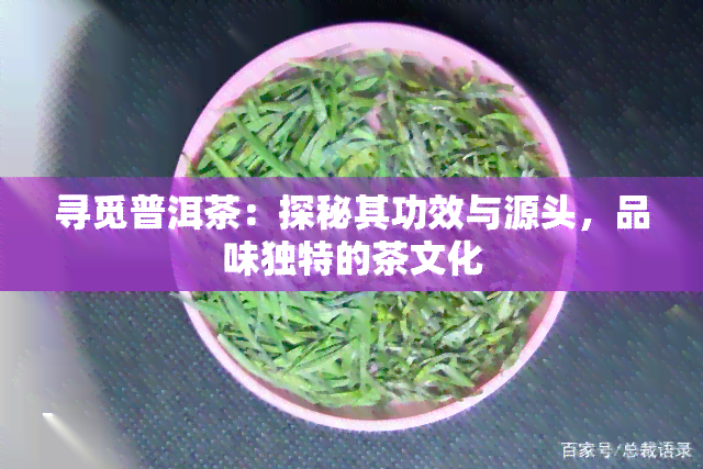 寻觅普洱茶：探秘其功效与源头，品味独特的茶文化