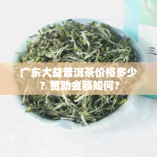 广东大益普洱茶价格多少？赞助金额如何？