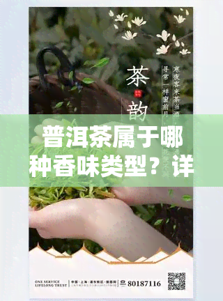 普洱茶属于哪种香味类型？详解其香型及特点