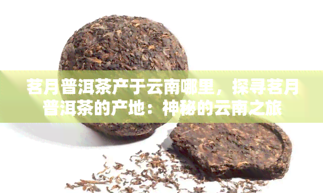 茗月普洱茶产于云南哪里，探寻茗月普洱茶的产地：神秘的云南之旅