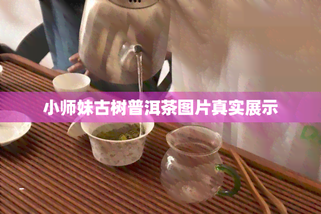 小师妹古树普洱茶图片真实展示