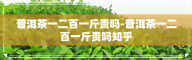 普洱茶一二百一斤贵吗-普洱茶一二百一斤贵吗知乎