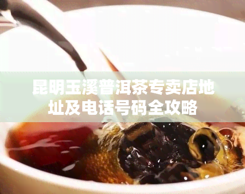 昆明玉溪普洱茶专卖店地址及电话号码全攻略