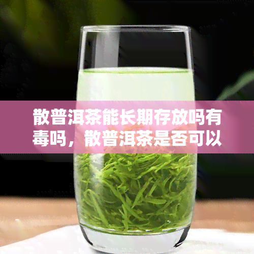 散普洱茶能长期存放吗有吗，散普洱茶是否可以长期存放？是否有？